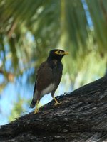 IMG_4338
