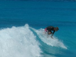 IMG_4345