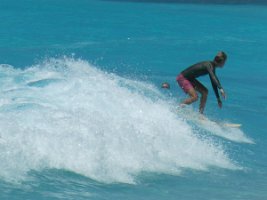 IMG_4347