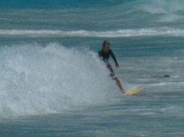 IMG_4348