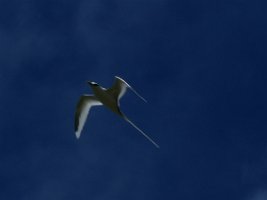 IMG_4356