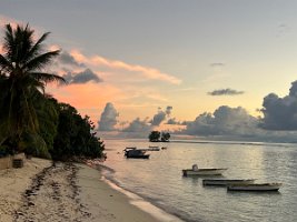 IMG_4382