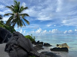 IMG_4401