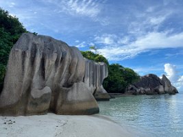 IMG_4430