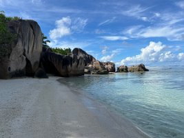 IMG_4474