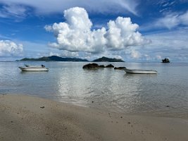 IMG_4486