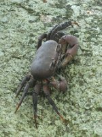 IMG_4516