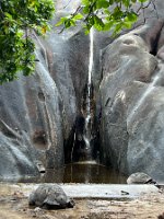 IMG_4554