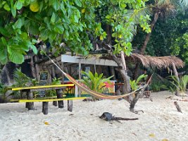 IMG_4564