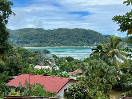 IMG_4781