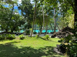 IMG_4895