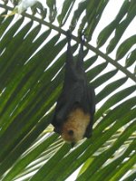 IMG_4954