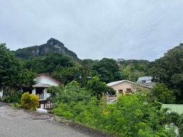 IMG_4981