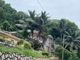 IMG_4997