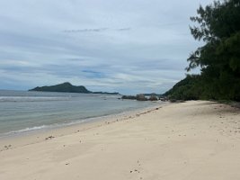 IMG_5004