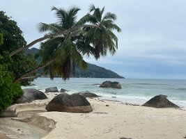IMG_5025