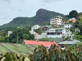 IMG_5062