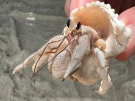 IMG_5186