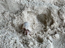 IMG_5190