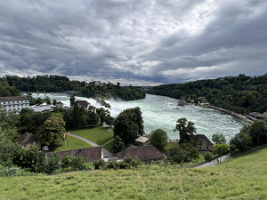 IMG_8286