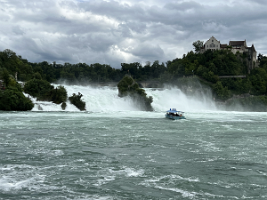 IMG_8293