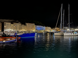IMG_2767