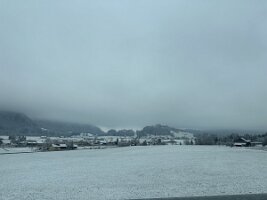 IMG_7885 2