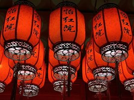 IMG_8810