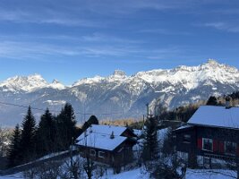IMG_1532 2