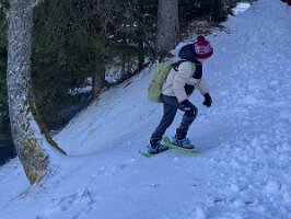 IMG_1535 2