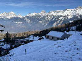 IMG_1536 2