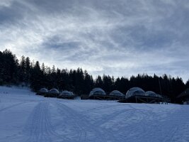 IMG_1549 2