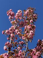 IMG_3348