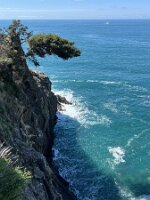 IMG_4061 2