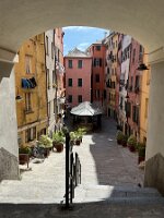 IMG_3714 3