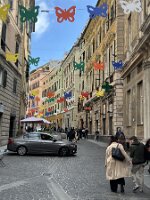IMG_3720 3