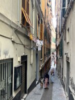 IMG_3721 3