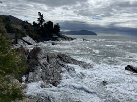 IMG_3857 3
