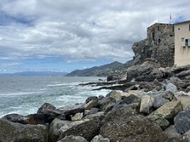 IMG_3872 3