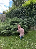 IMG_3666