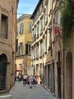 IMG_4387