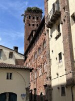 IMG_4404