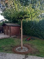 2e5bd4ce-7b75-48a7-8aab-012077387d96