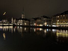 IMG_4495